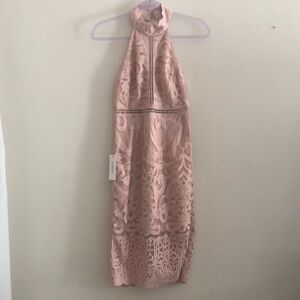 Bardot Pink Rose Hana Lace Halter Cocktail  Dress